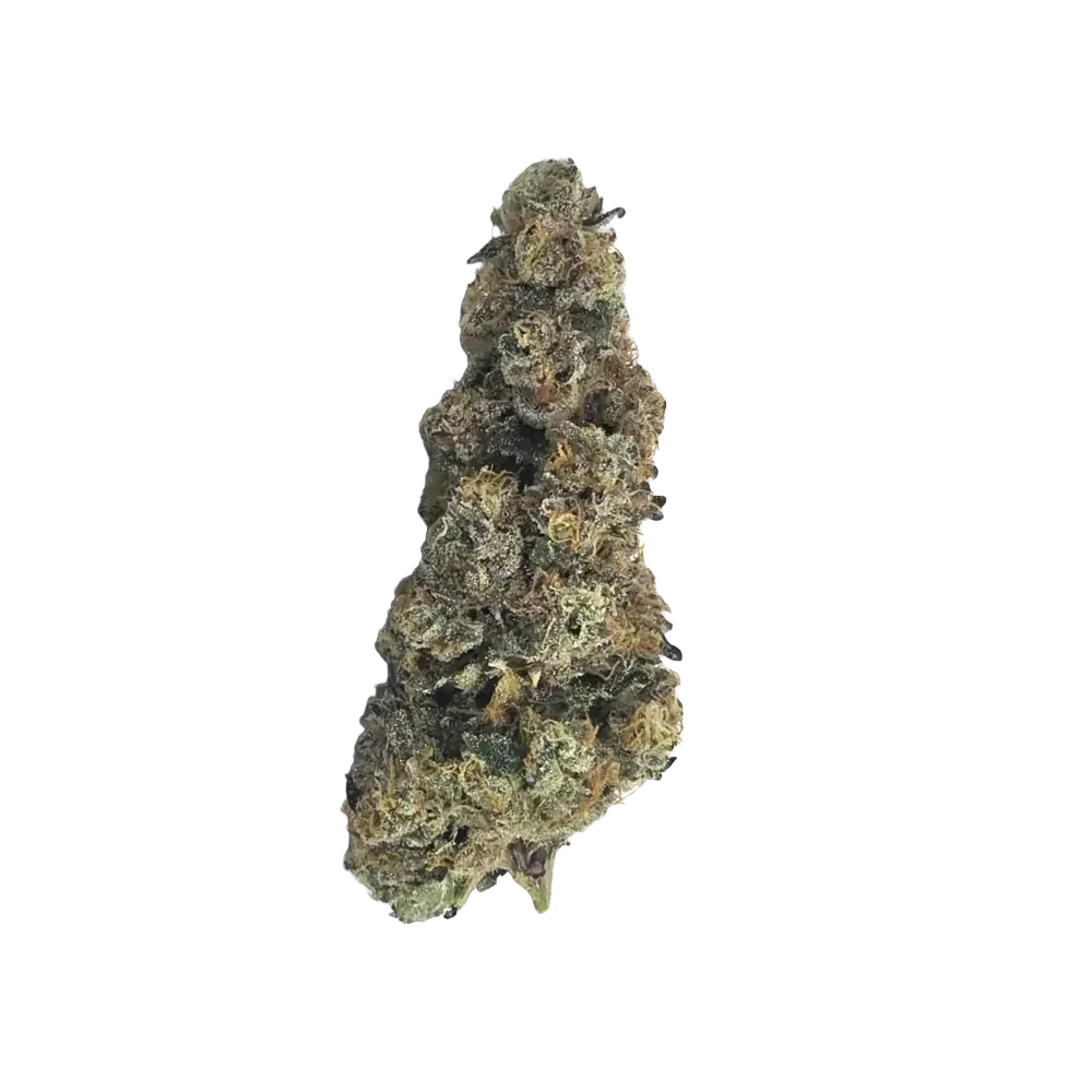 KHIRON PP 29/1 Peggys Puff