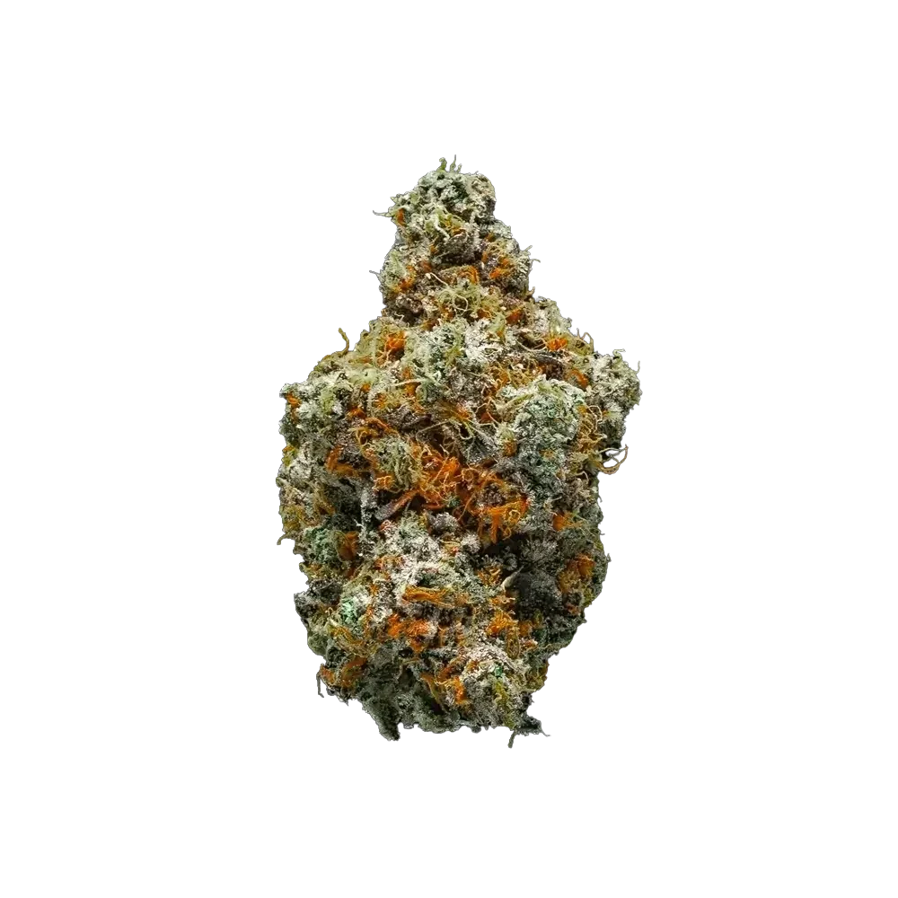 KHIRON RS11 29/1 Rainbow Sherbert #11