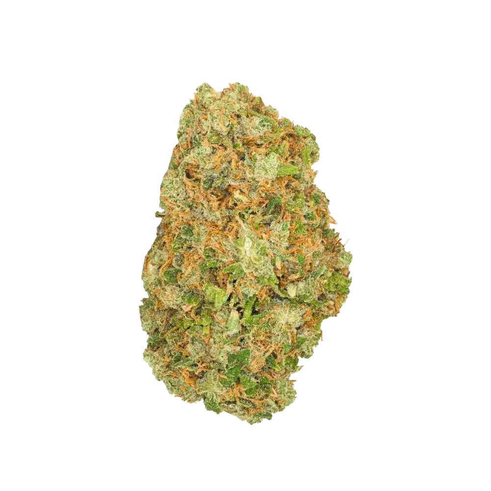 Pedanios 22/1 Ghost Train Haze