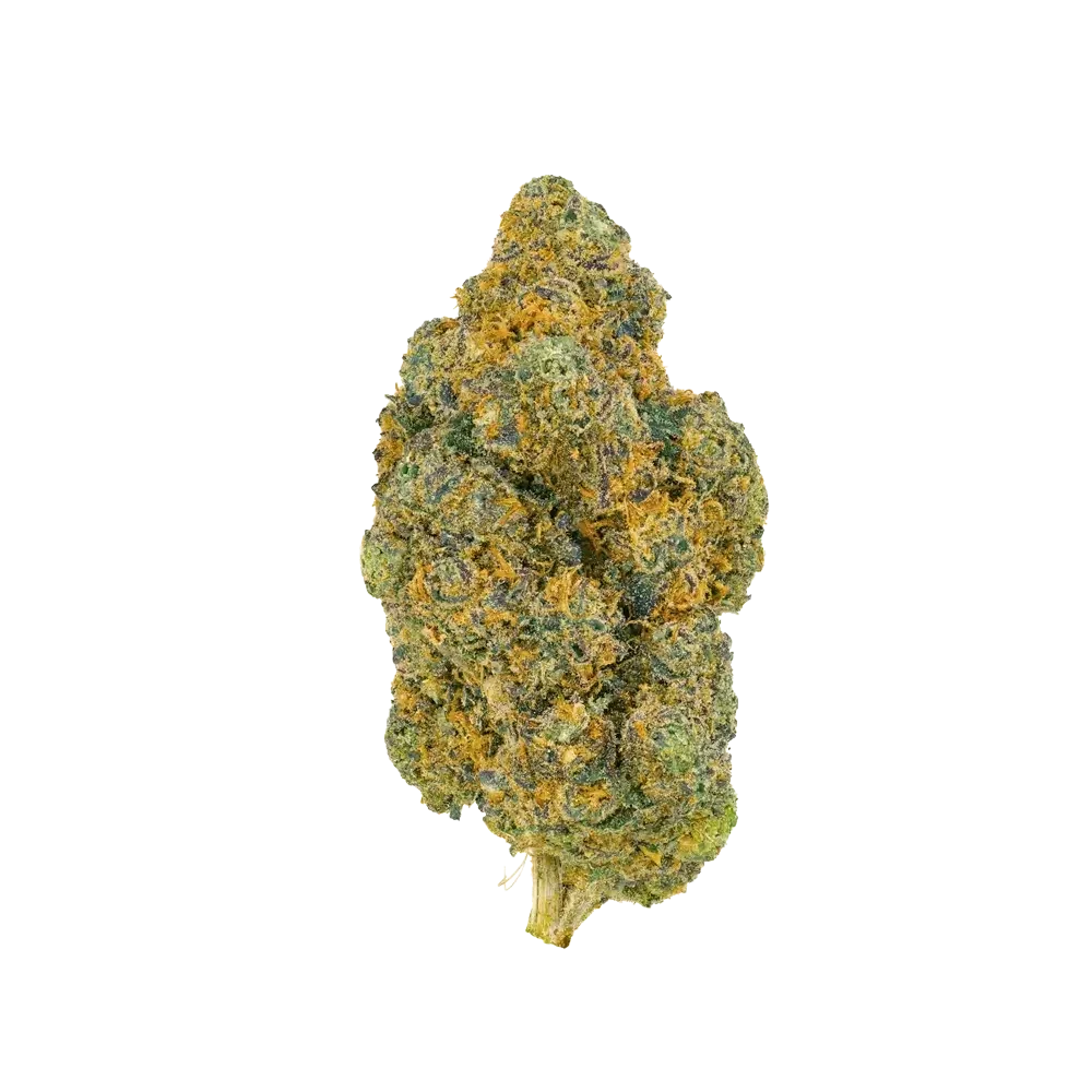 Pedanios 25/1 FLH-CA - Frozen Lemon Haze