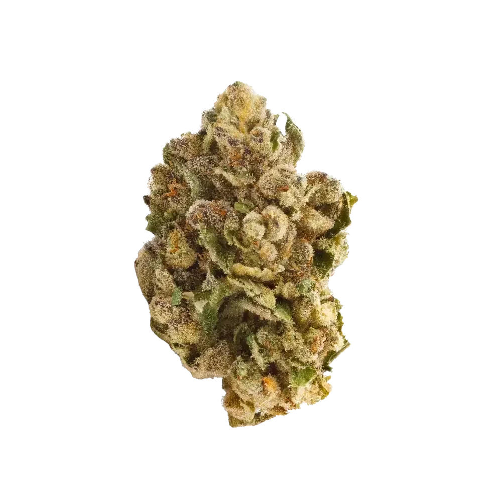 Pedanios 27/1 FRG-CA Farm Gas