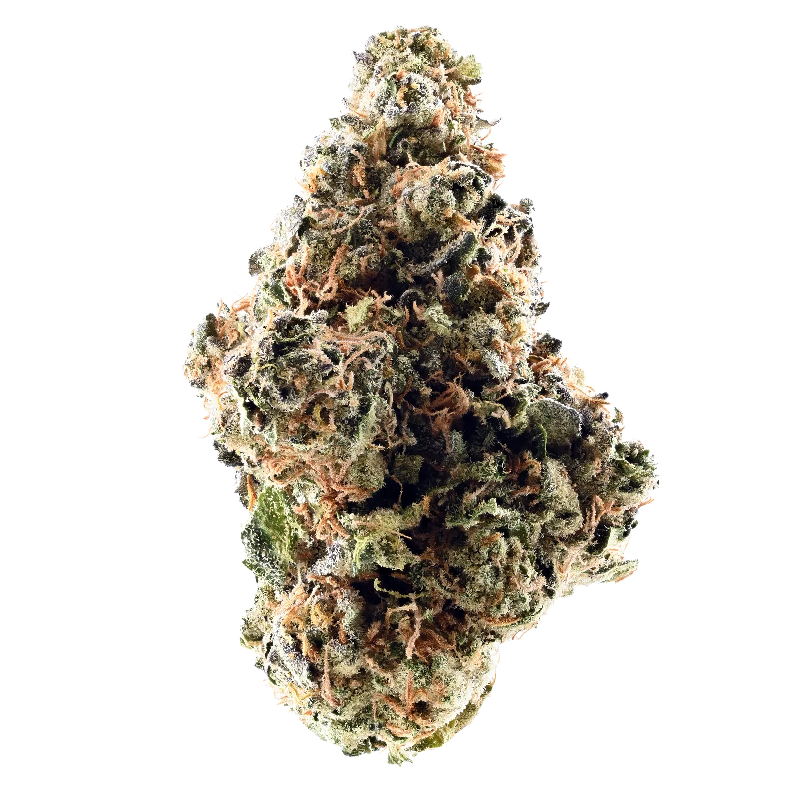 TRUU GT 30:01 Cookies OG