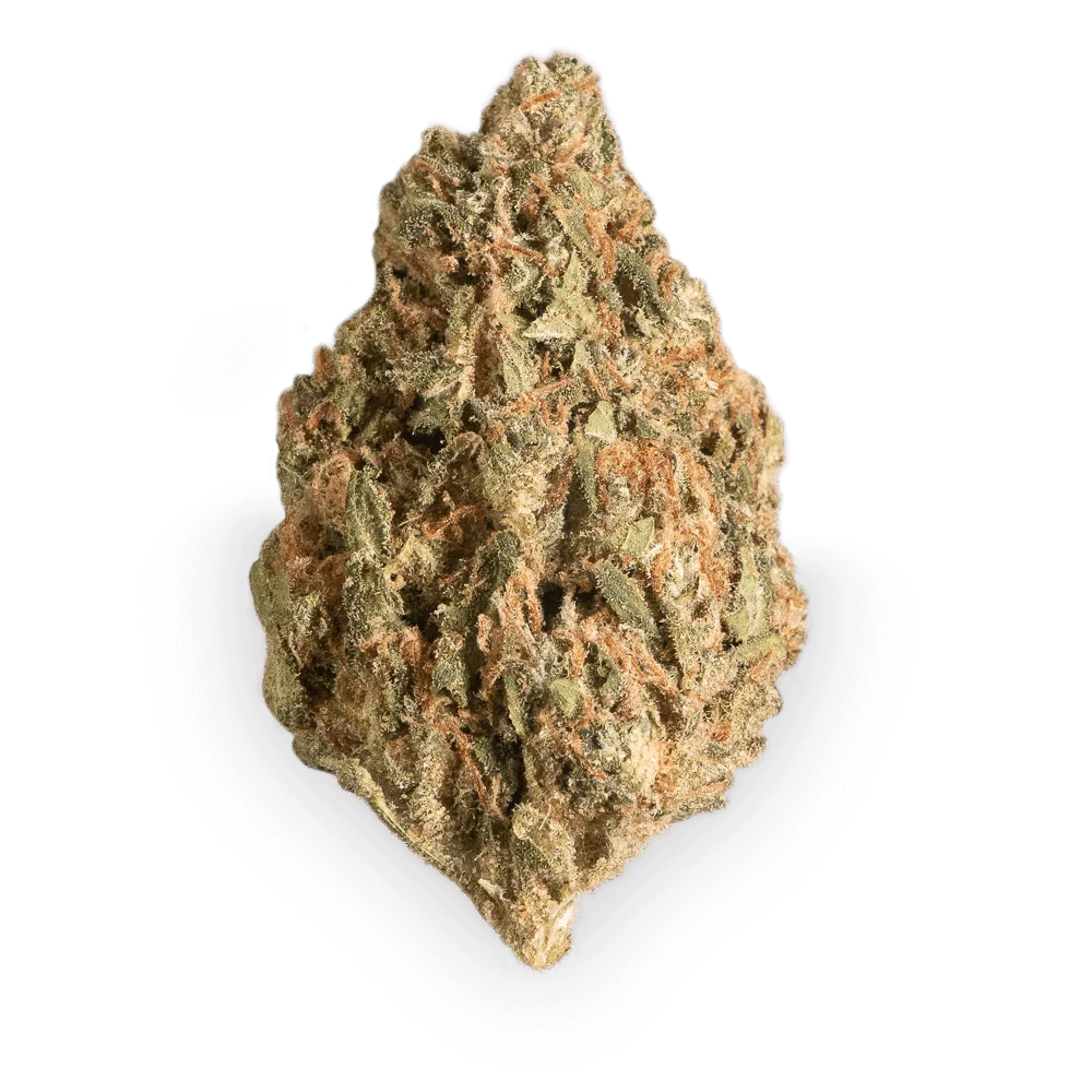 Cannamedical Sativa forte NM Wedding Tree